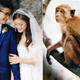 Image for article titled 5 Insane Things From Martha Stewart Weddings Magazine, Fall 2015